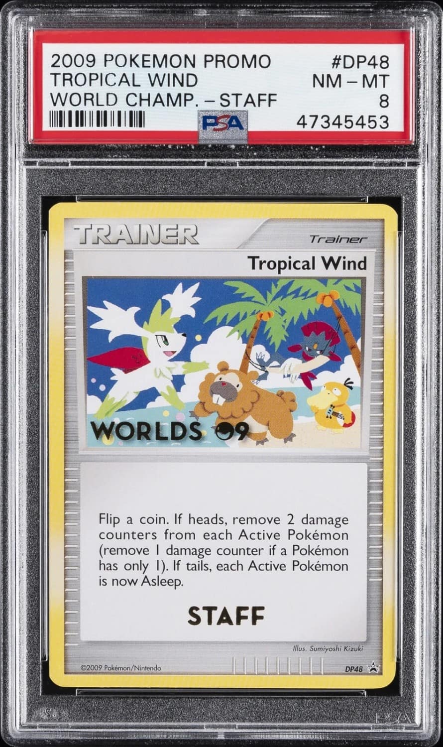 Tropical Wind