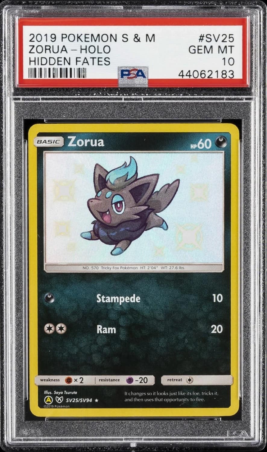 Zorua