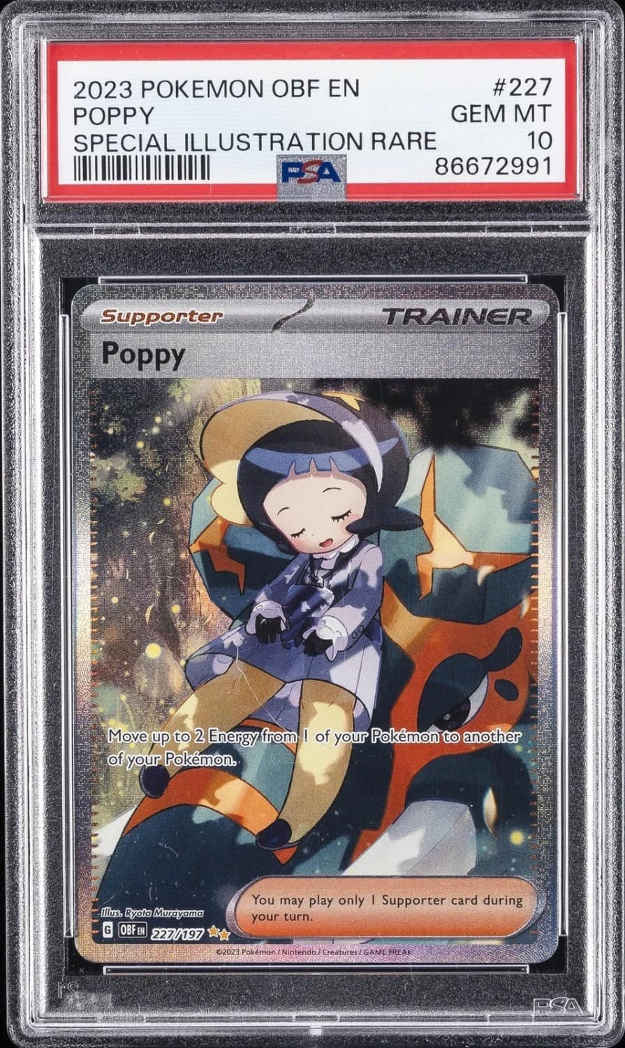 Poppy