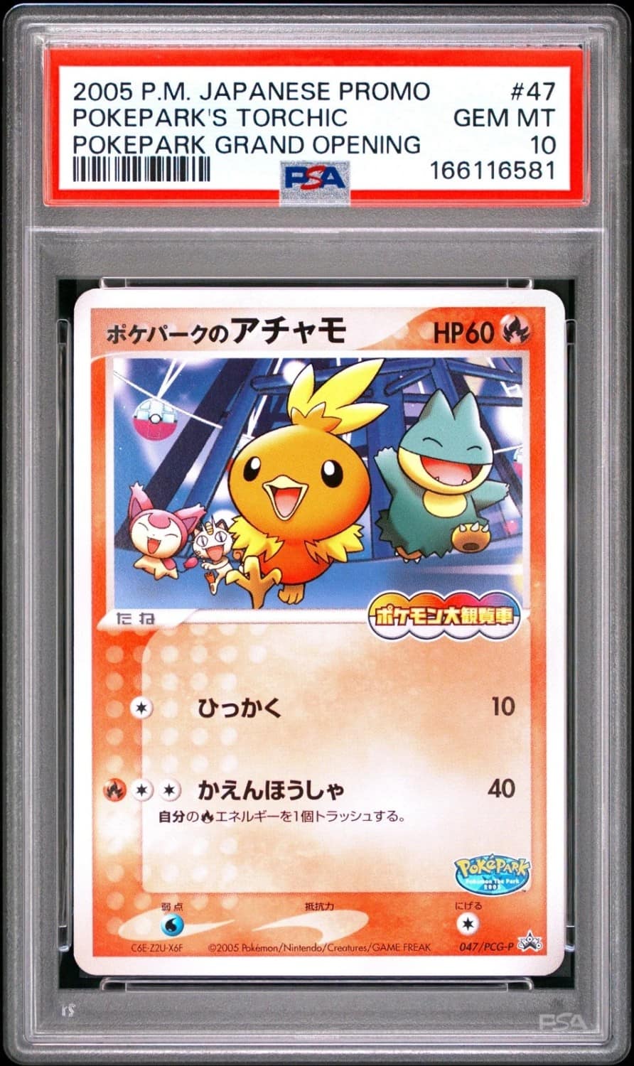 Pokepark'S Torchic