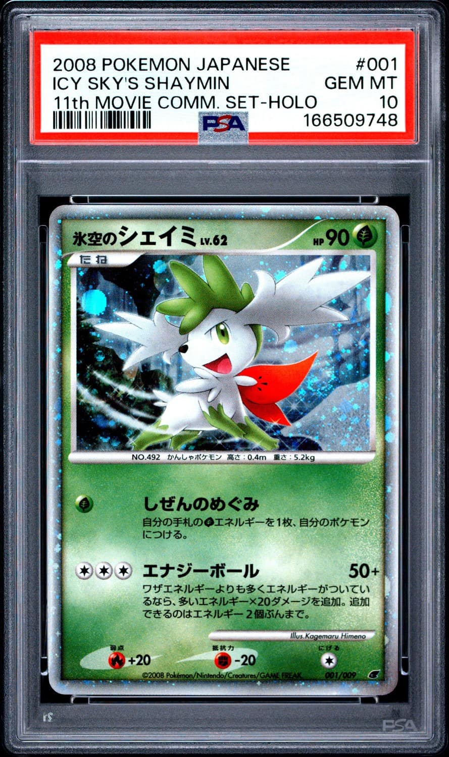 Icy Sky'S Shaymin