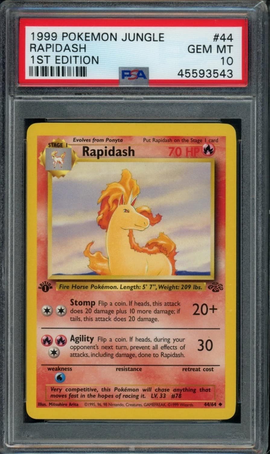 Rapidash
