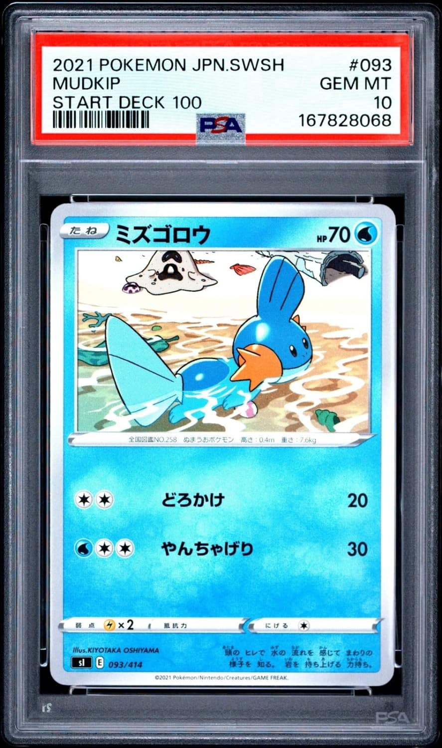 Mudkip