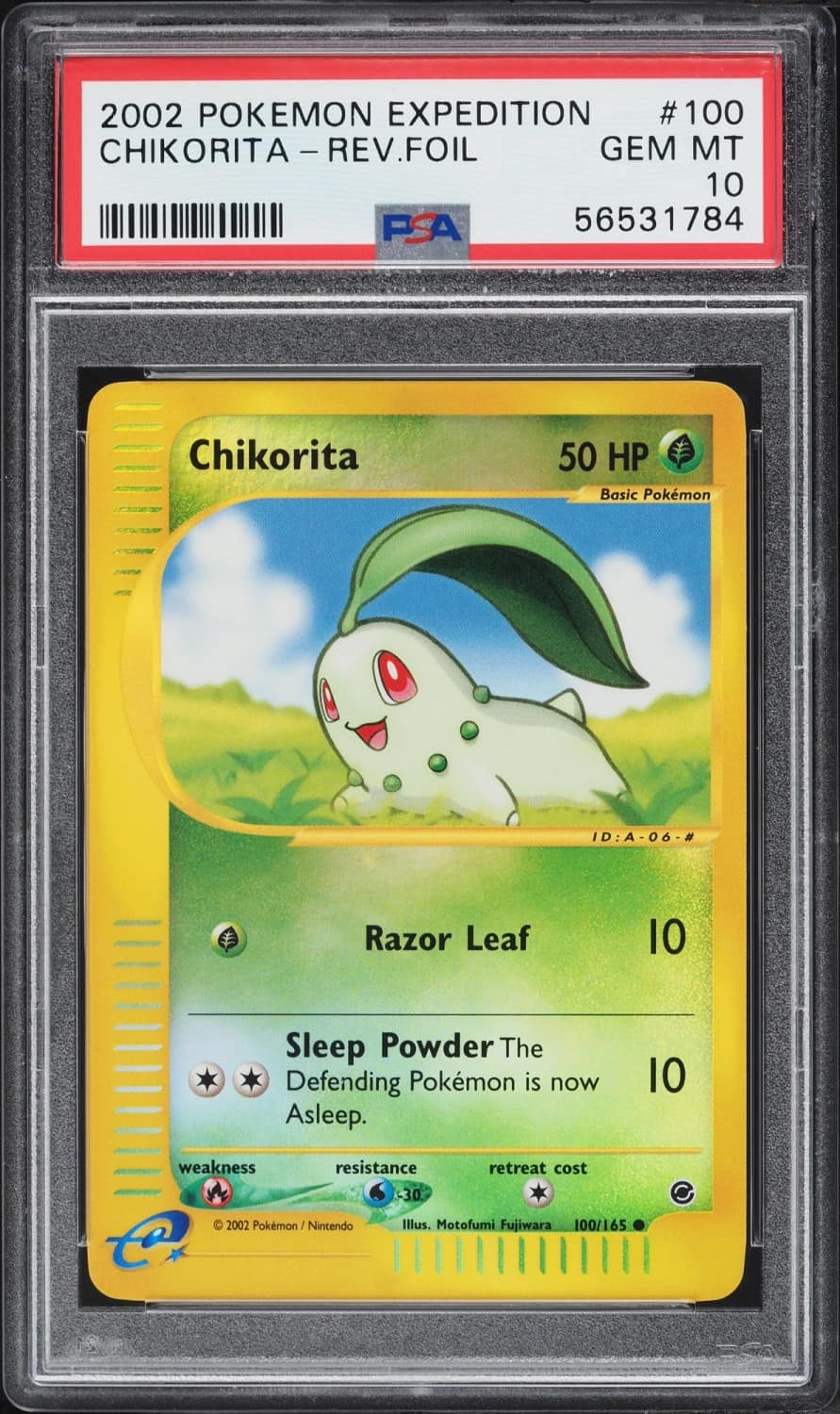 Chikorita