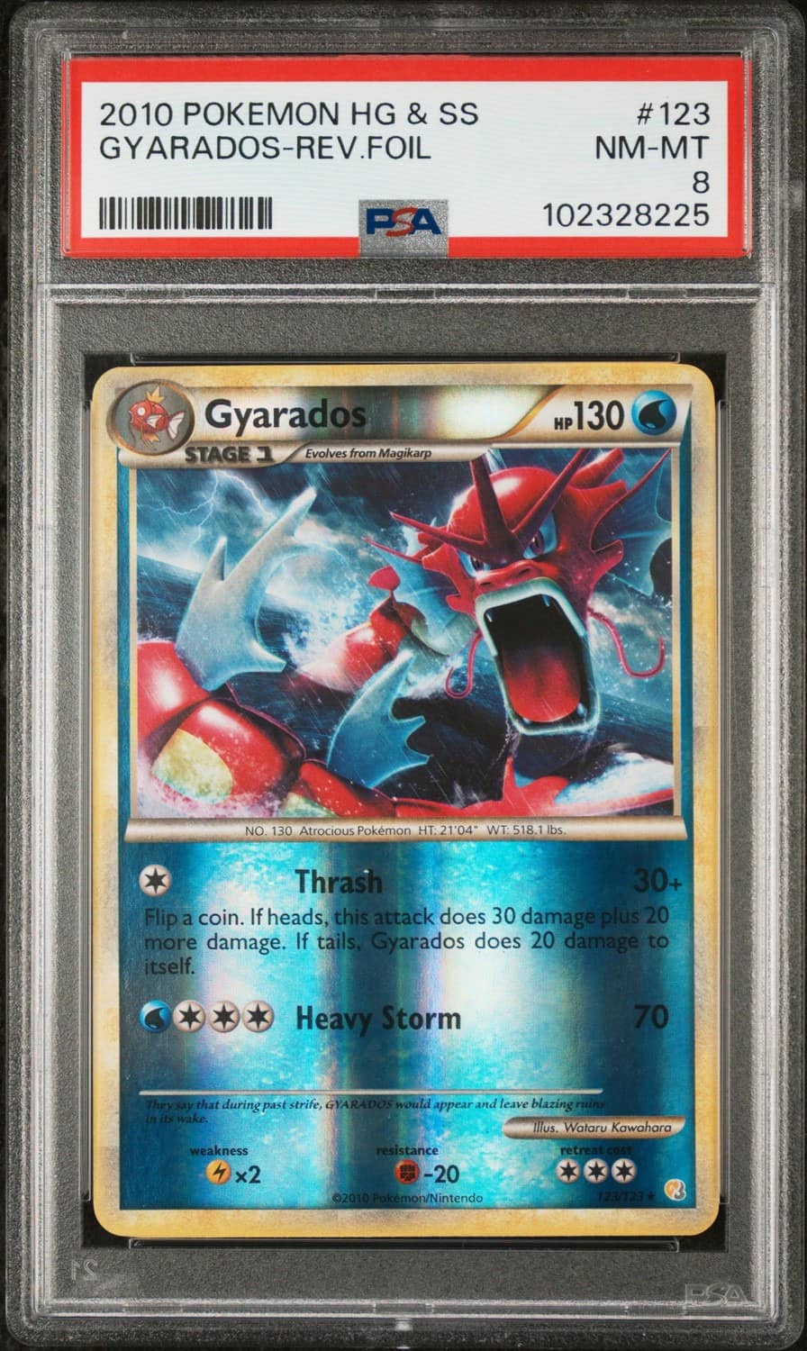 Gyarados
