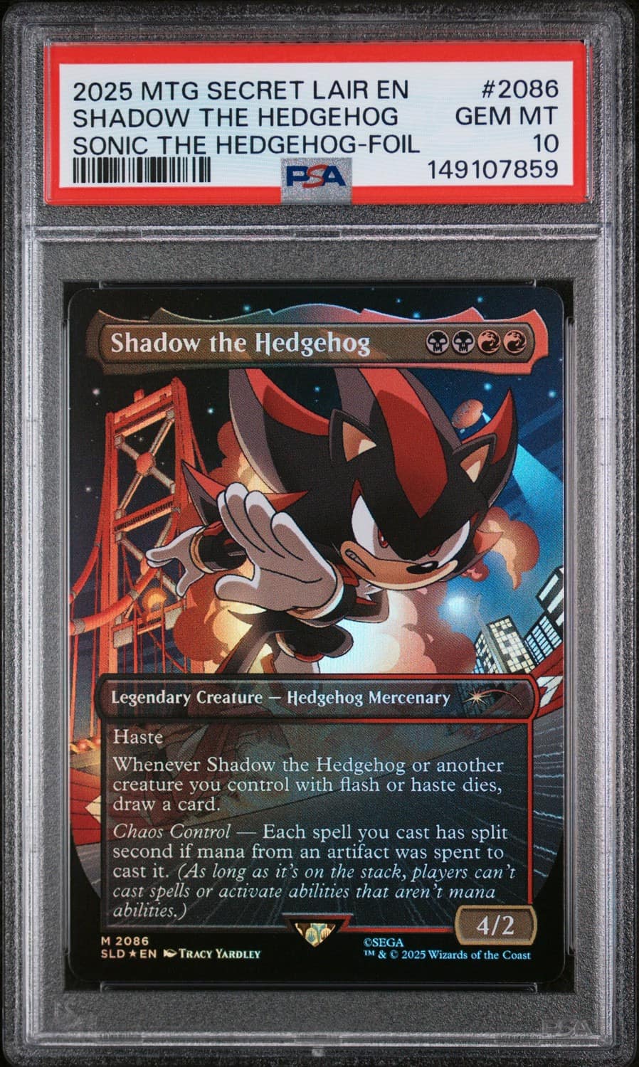 Shadow The Hedgehog