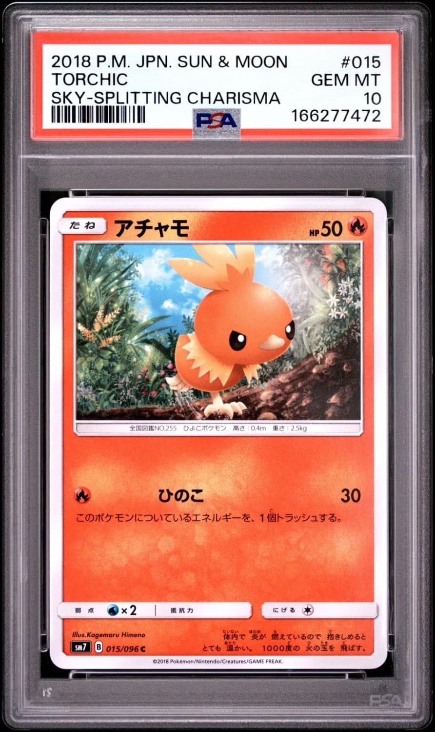 Torchic