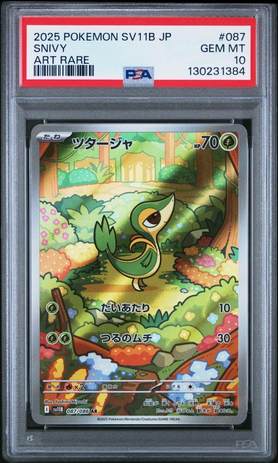 Snivy