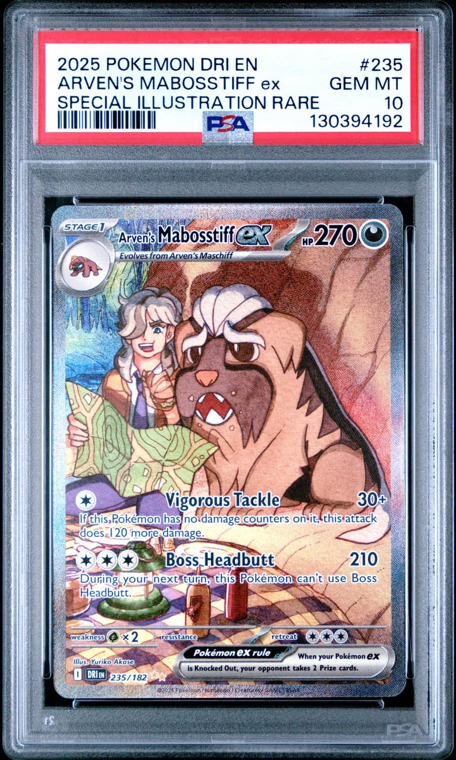 Arven'S Mabosstiff Ex