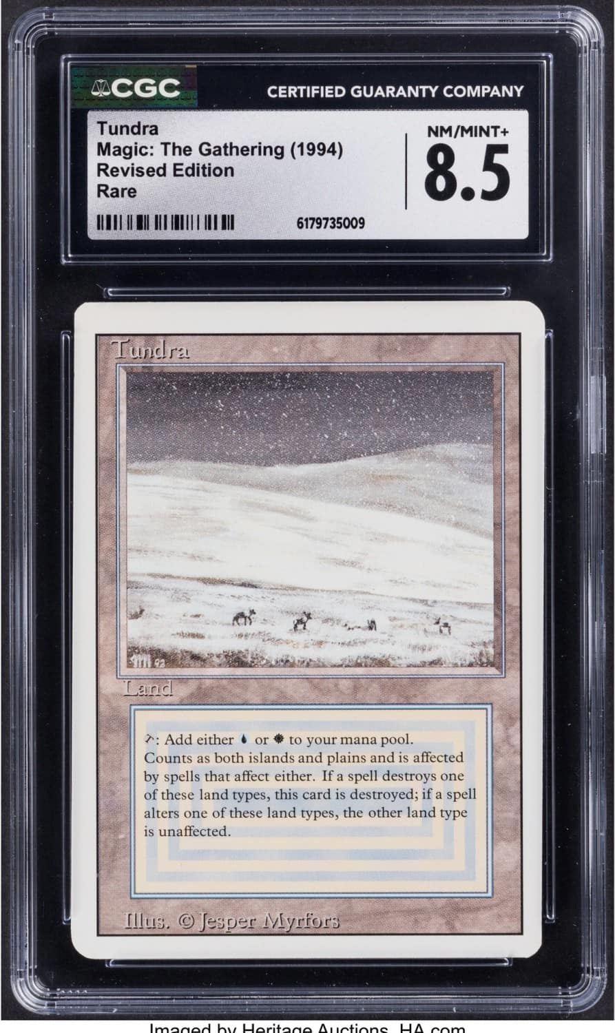 Tundra