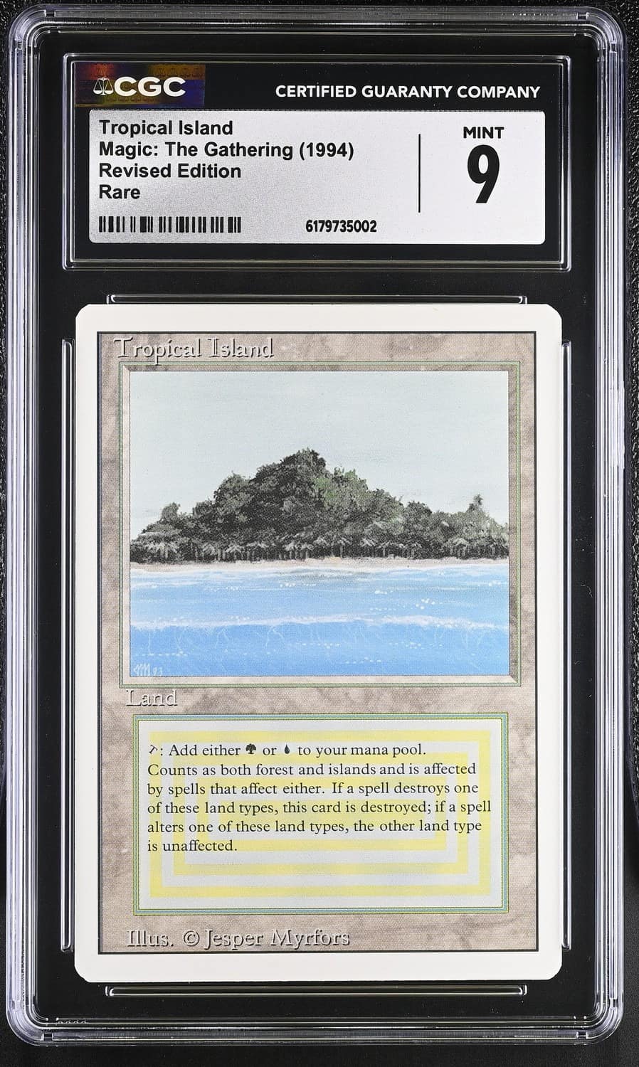 Tropical Island