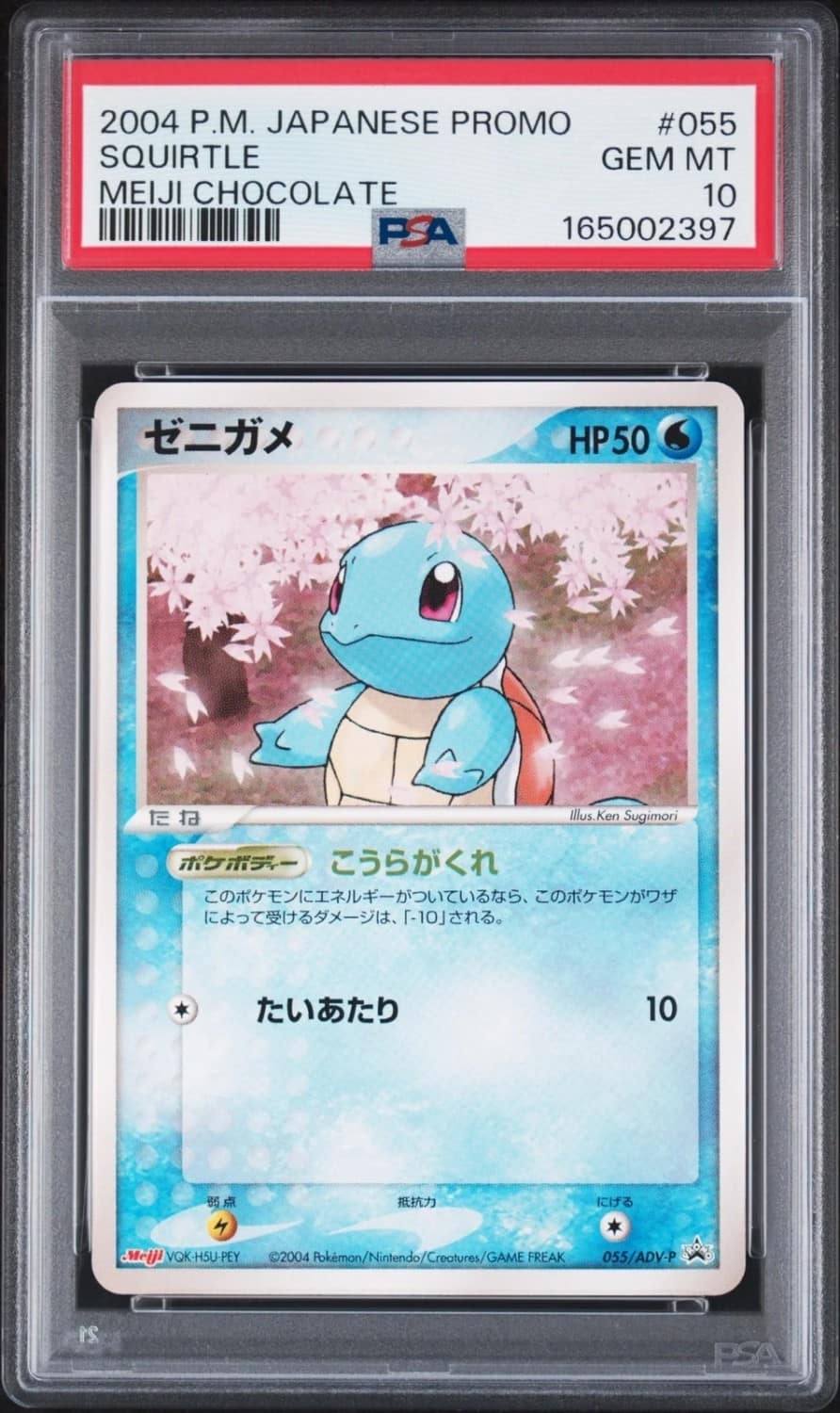 Squirtle