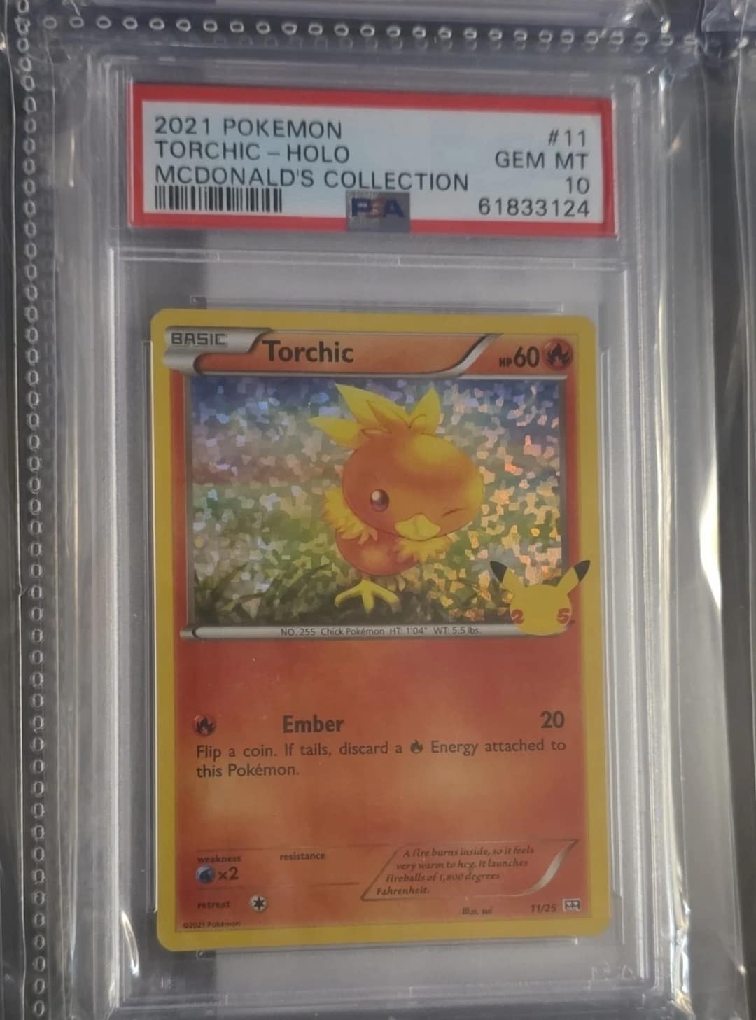 Torchic