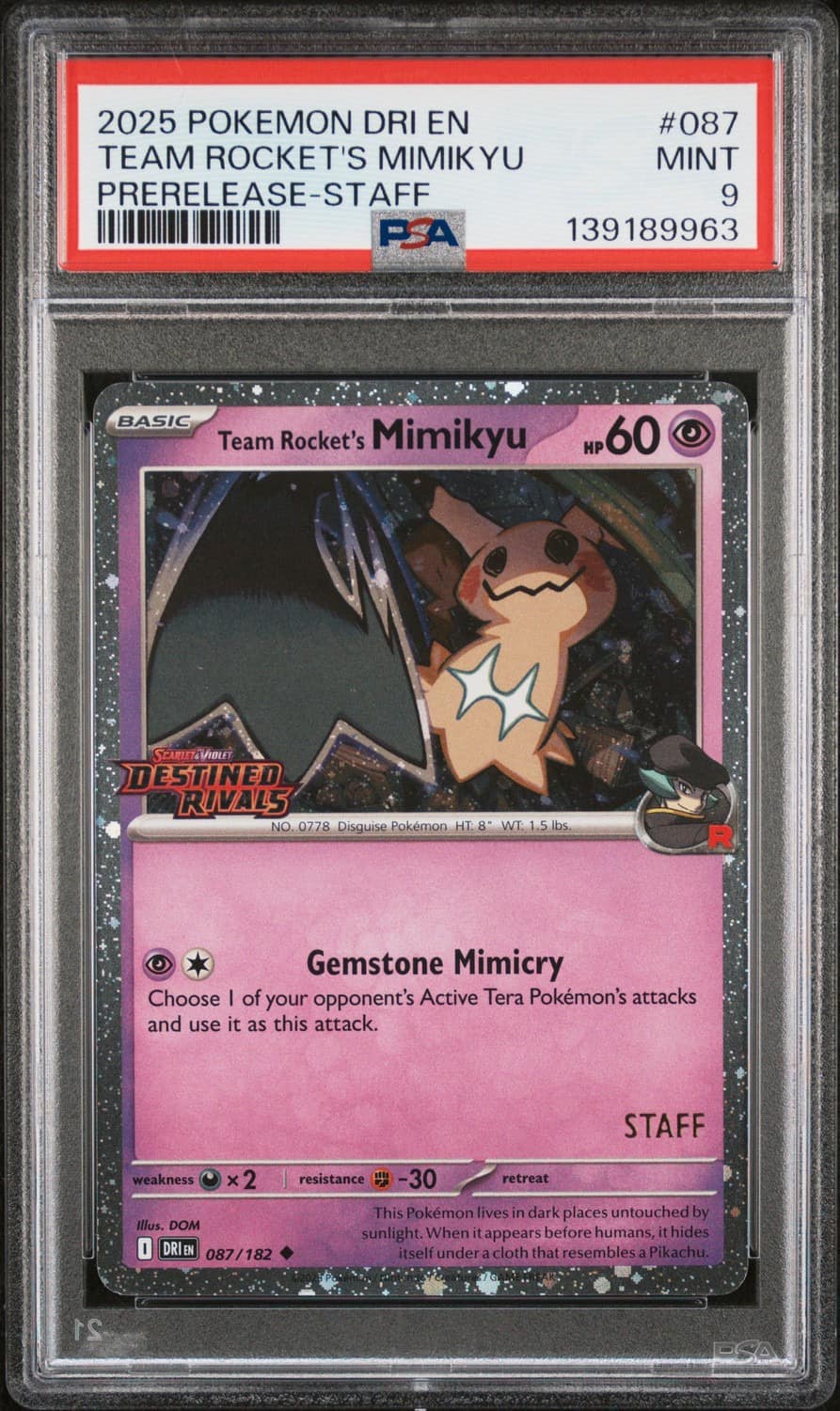 Team Rocket'S Mimikyu