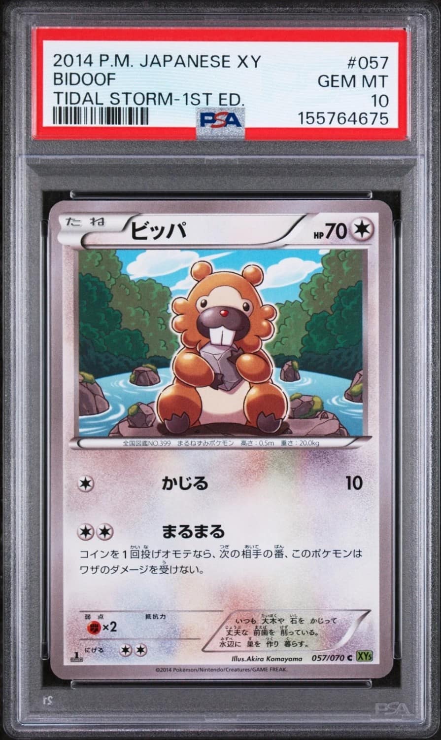 Bidoof