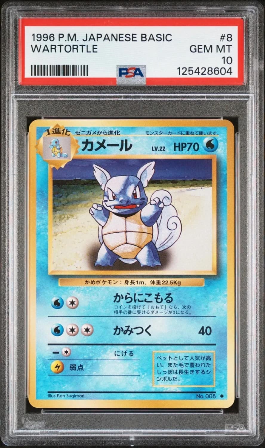 Wartortle