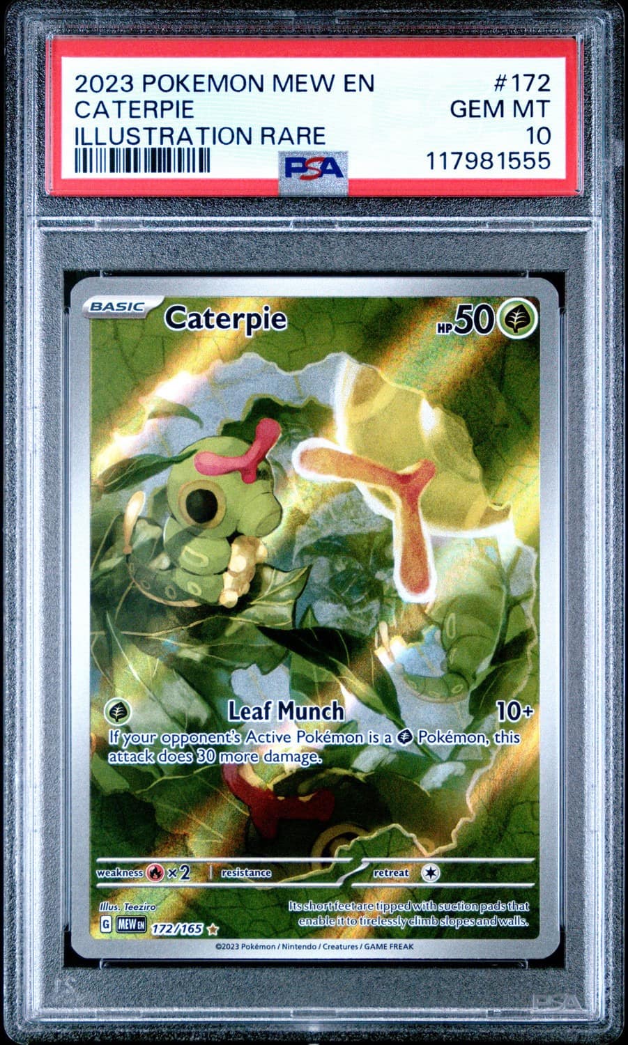Caterpie
