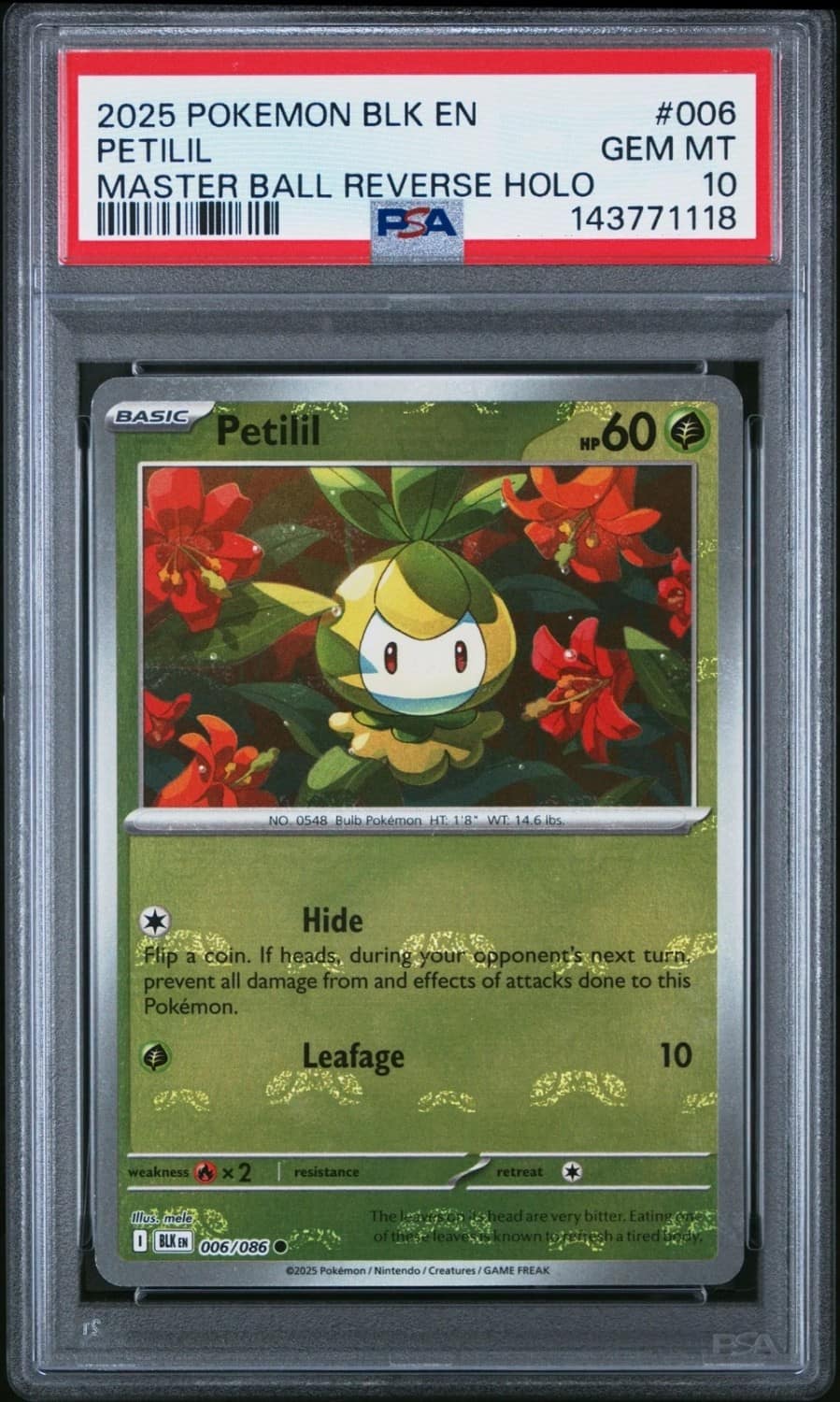 Petilil
