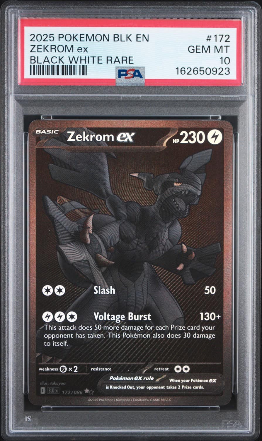 Zekrom Ex