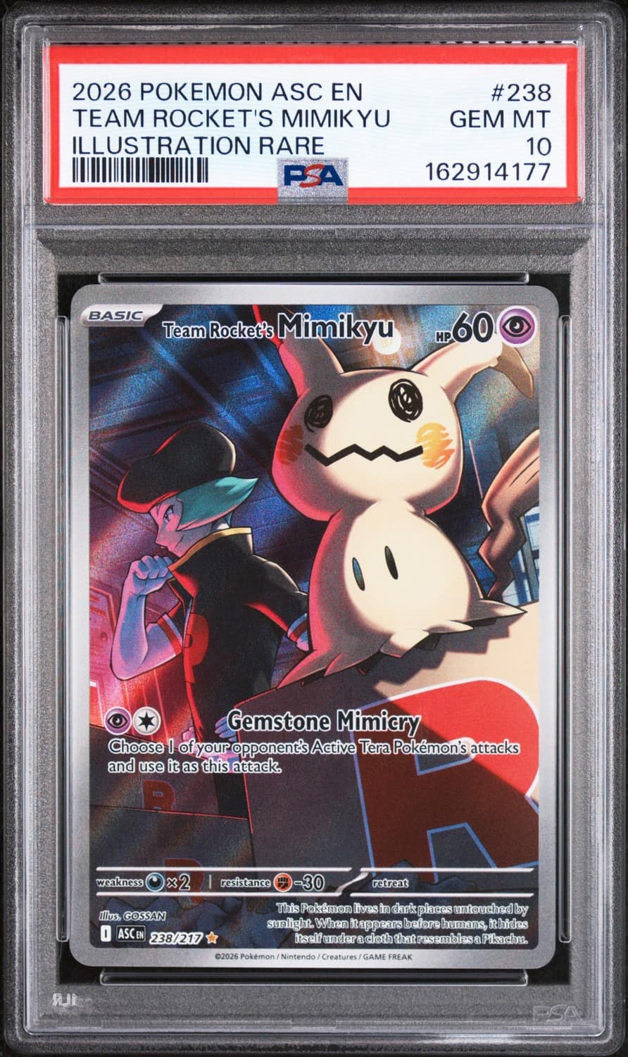 Team Rocket'S Mimikyu