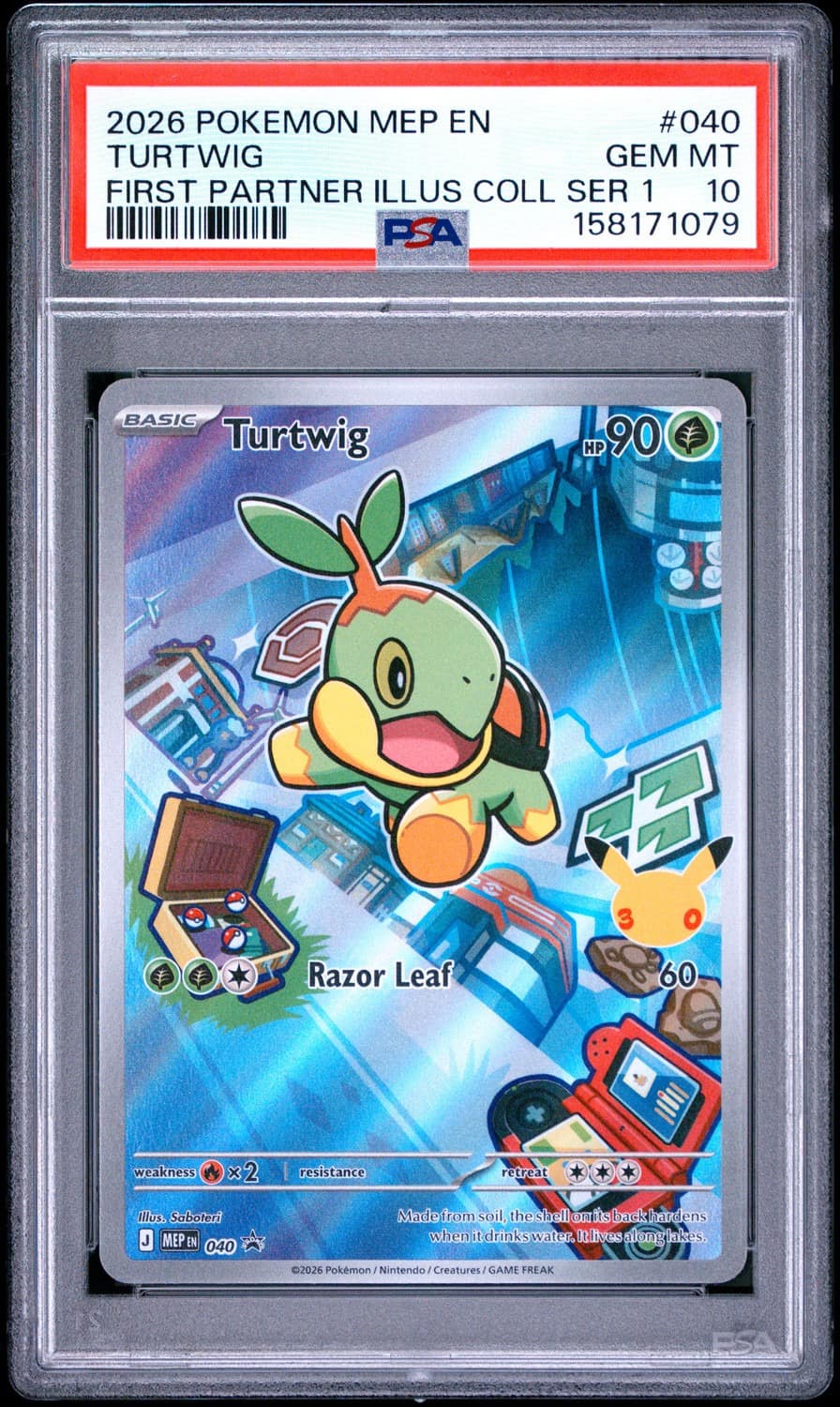 Turtwig