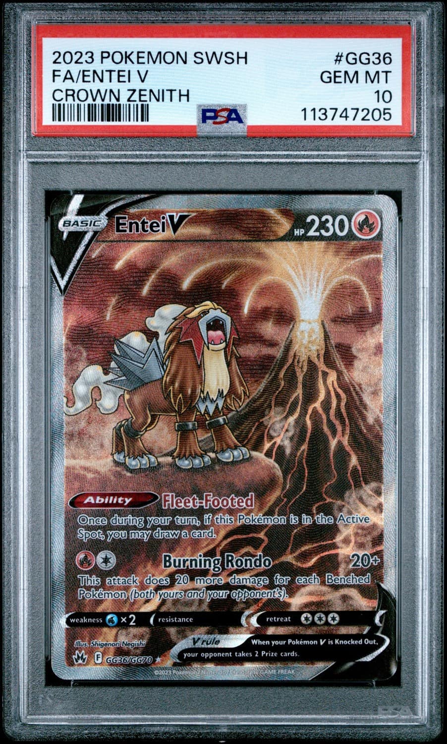 Entei V
