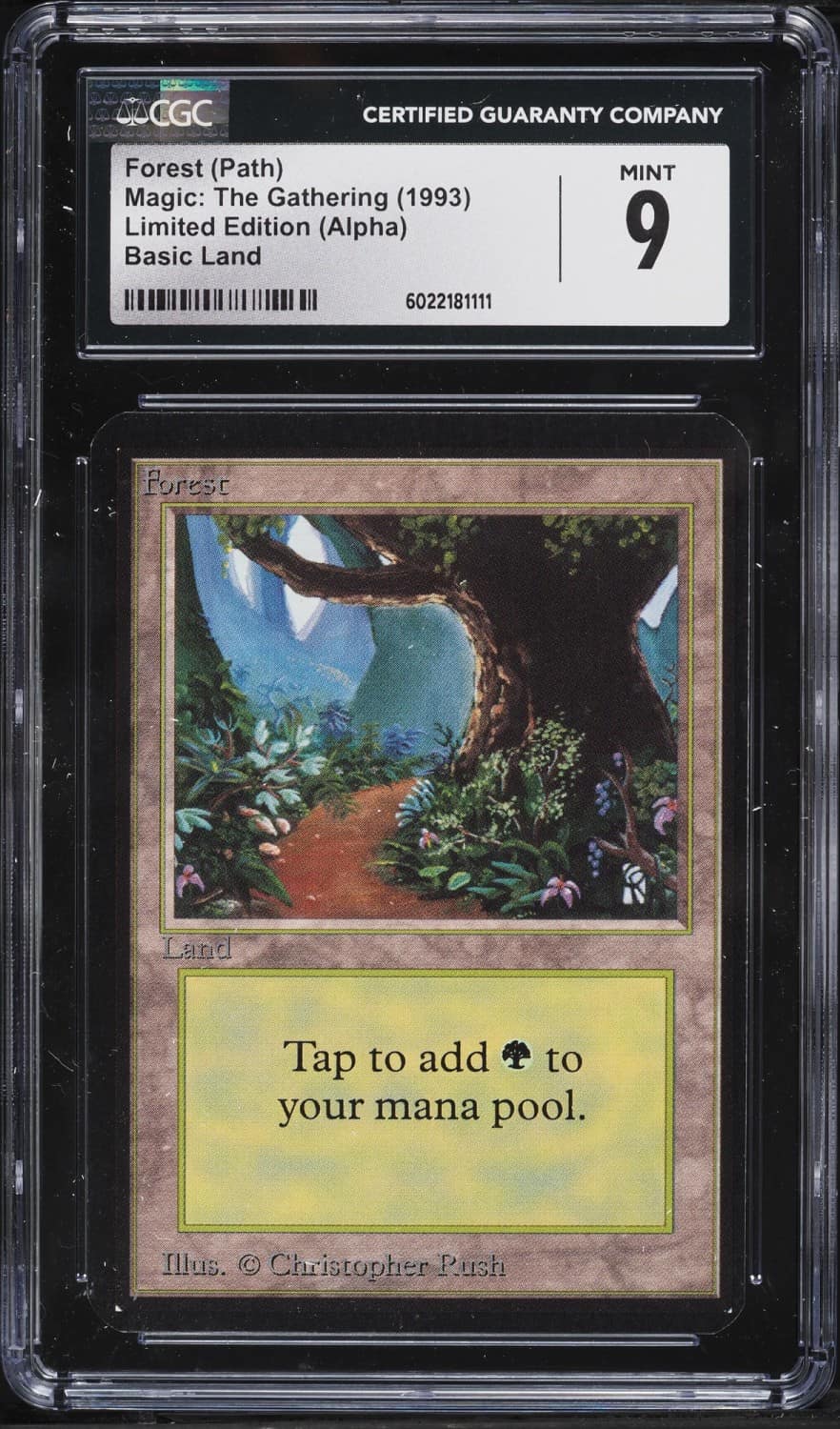 Forest (path)
