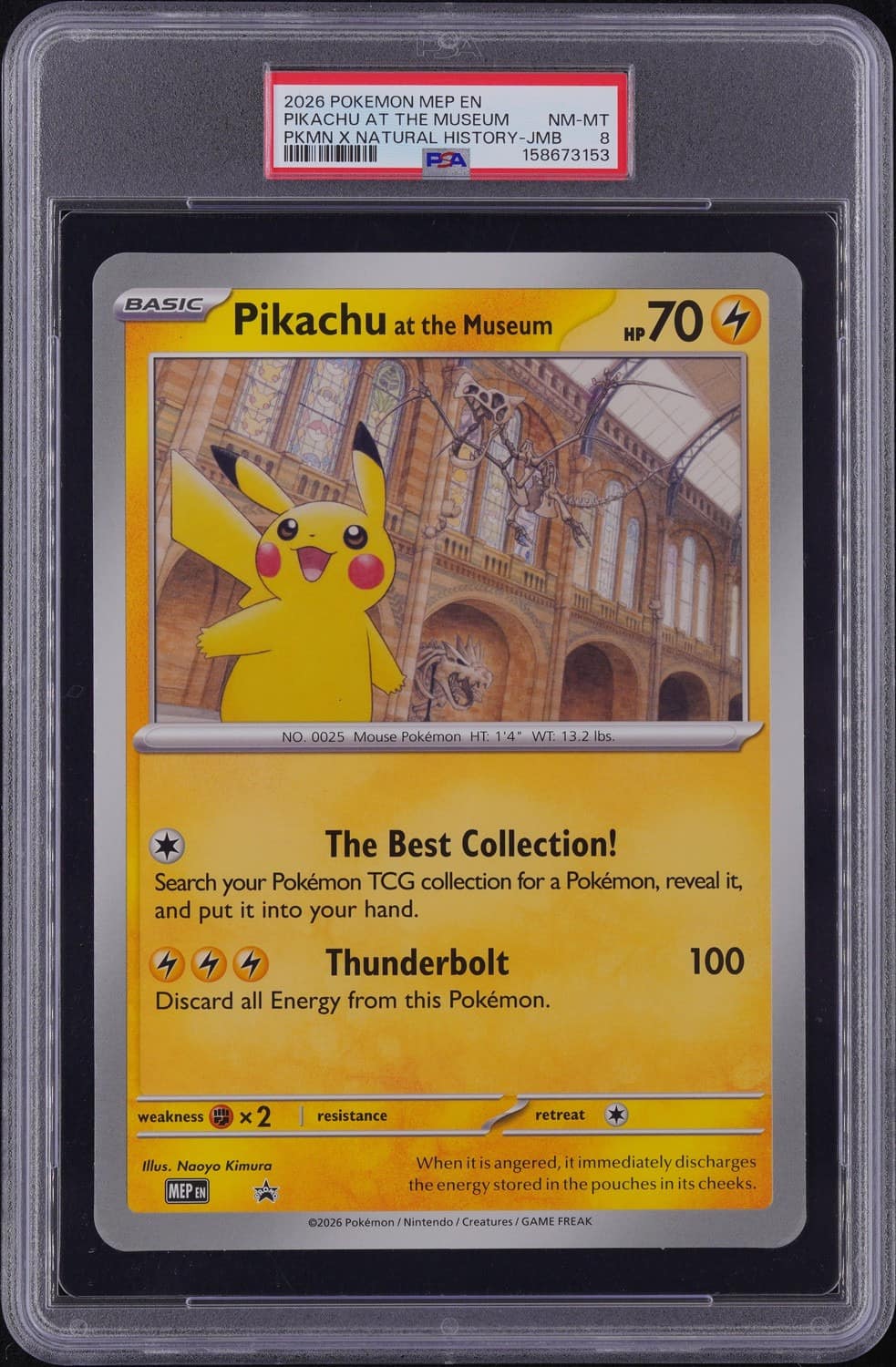 Pikachu At The Museum