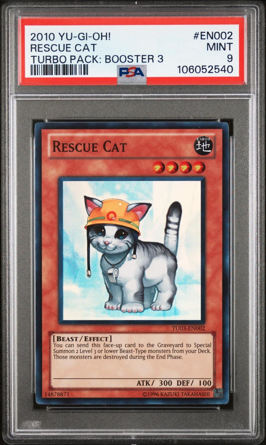 Rescue Cat