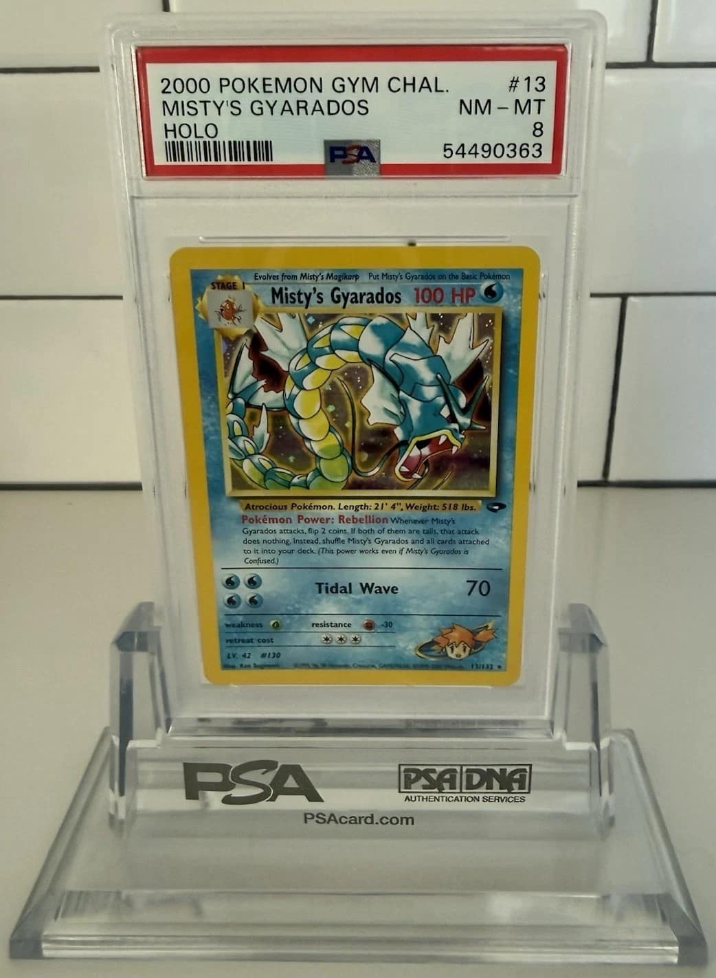 Misty'S Gyarados