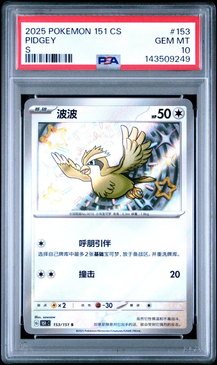 Pidgey