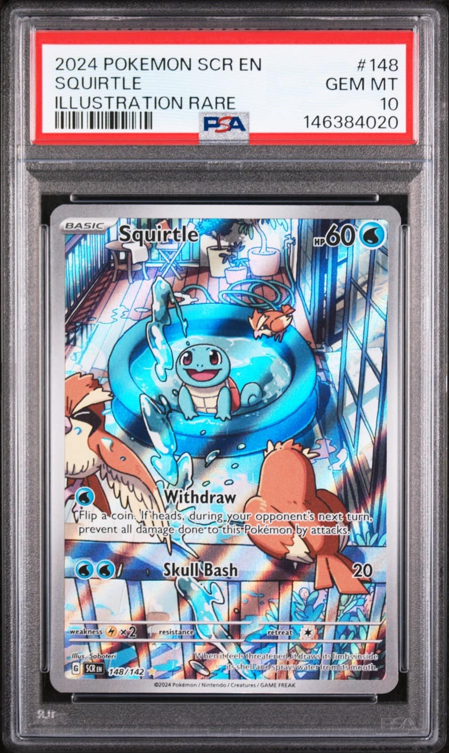 Squirtle