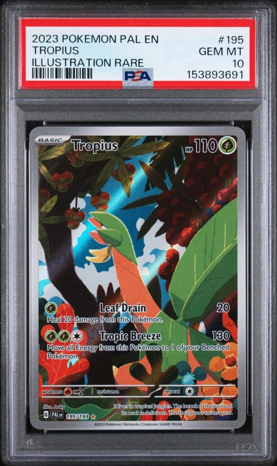 Tropius