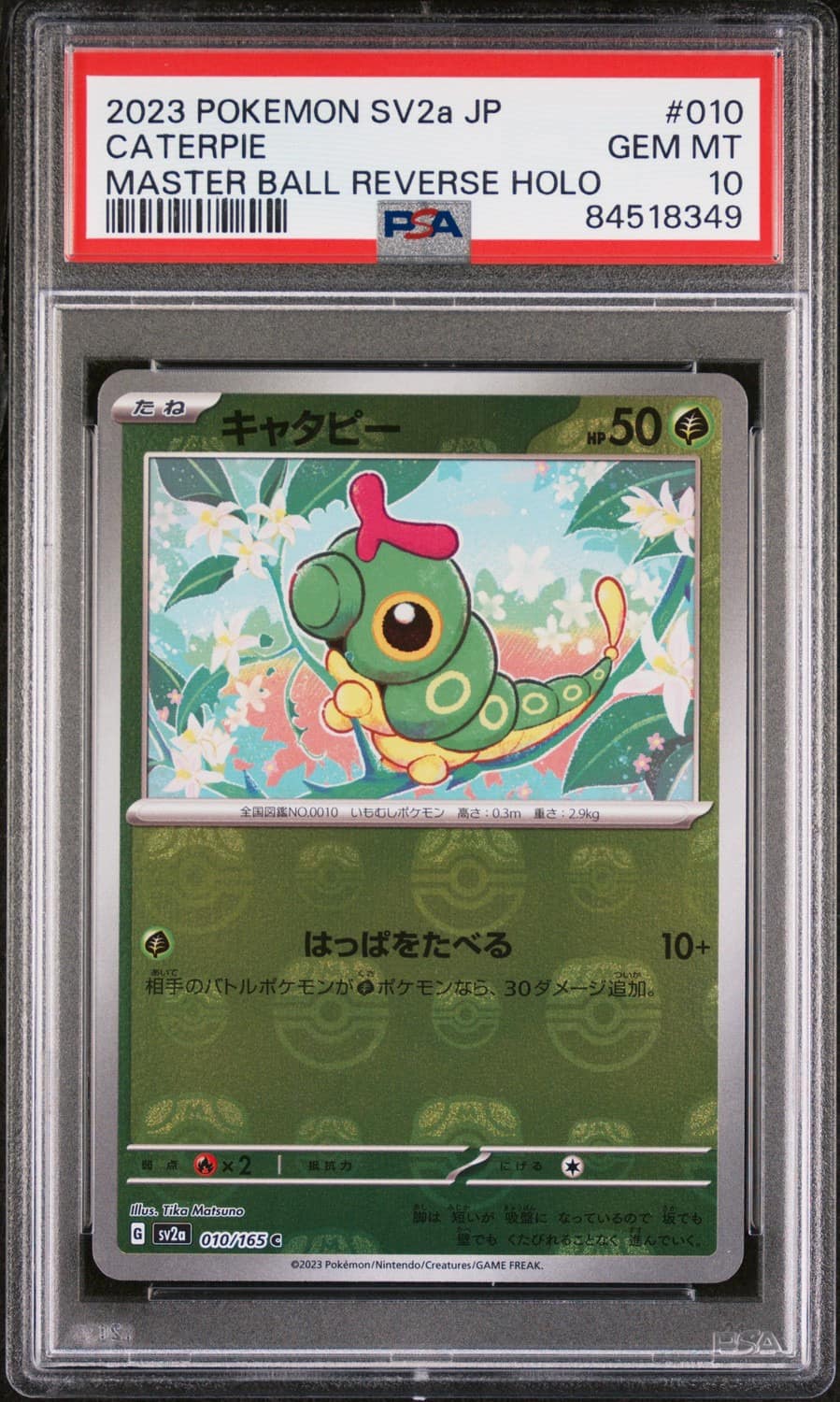 Caterpie