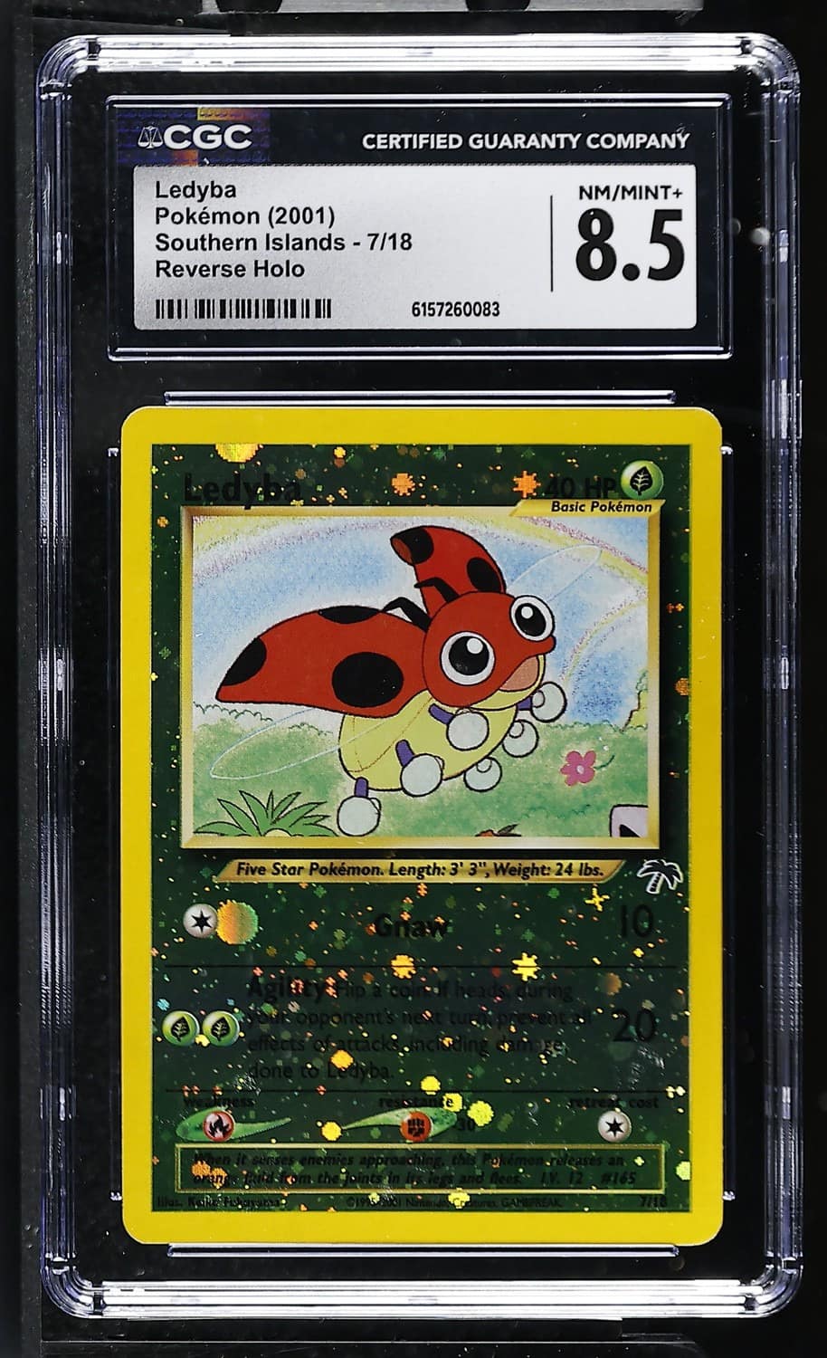 Ledyba