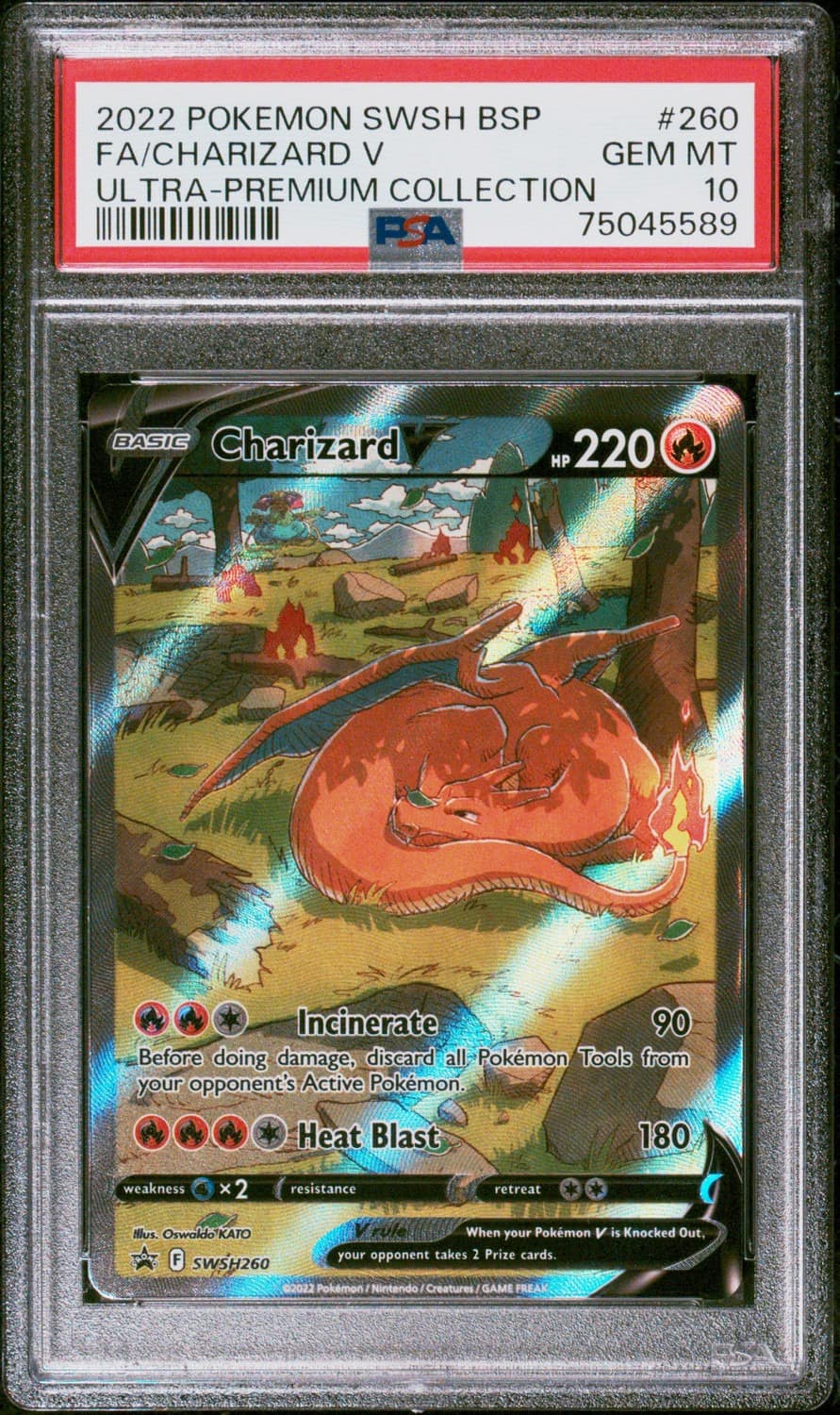 Charizard V