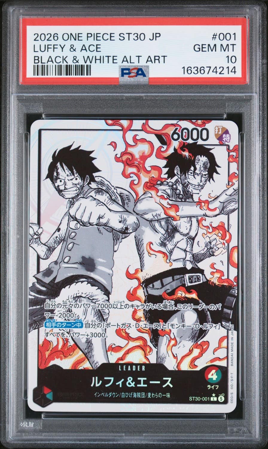 Luffy & Ace