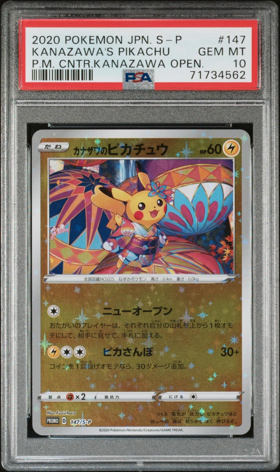 Kanazawa'S Pikachu