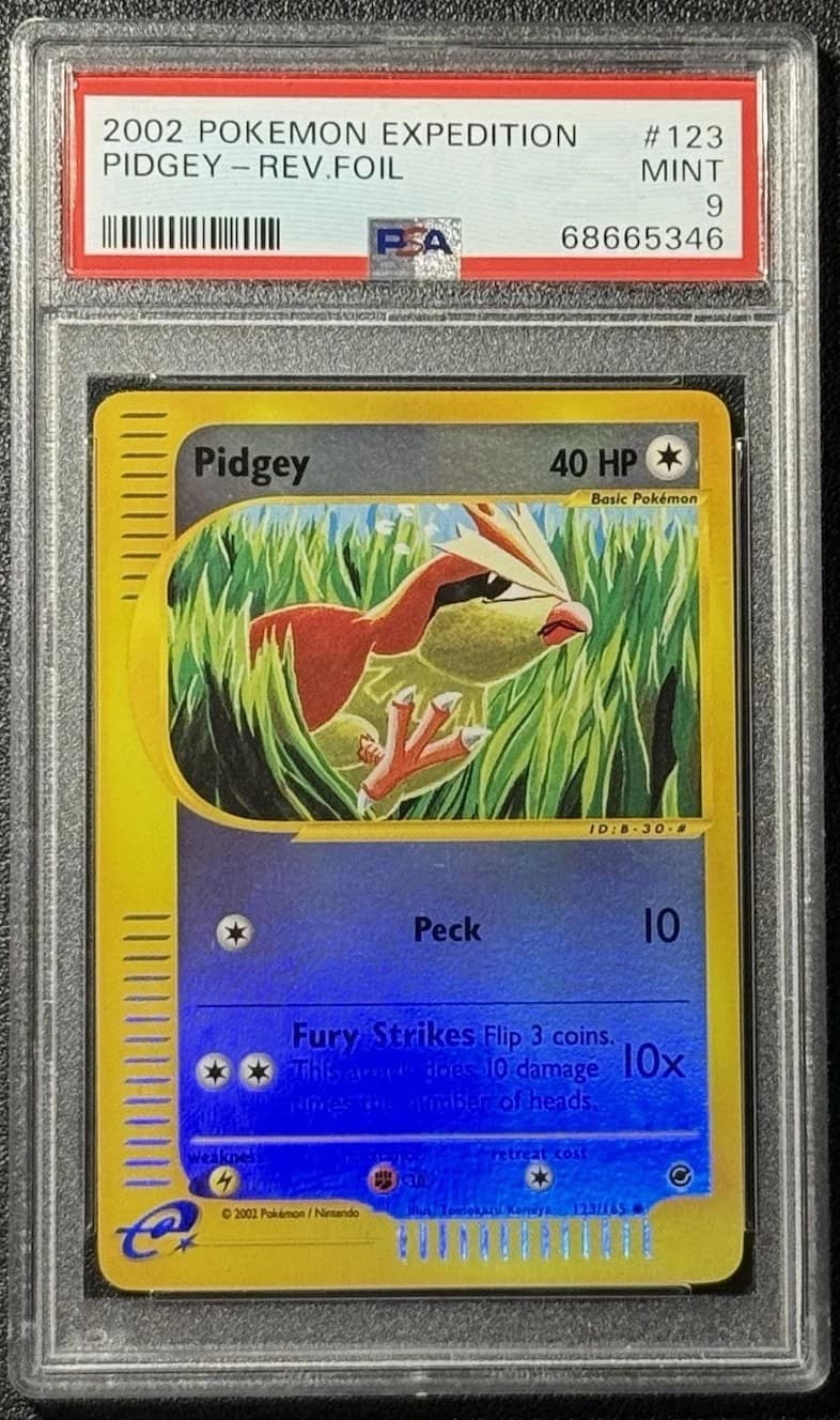 Pidgey