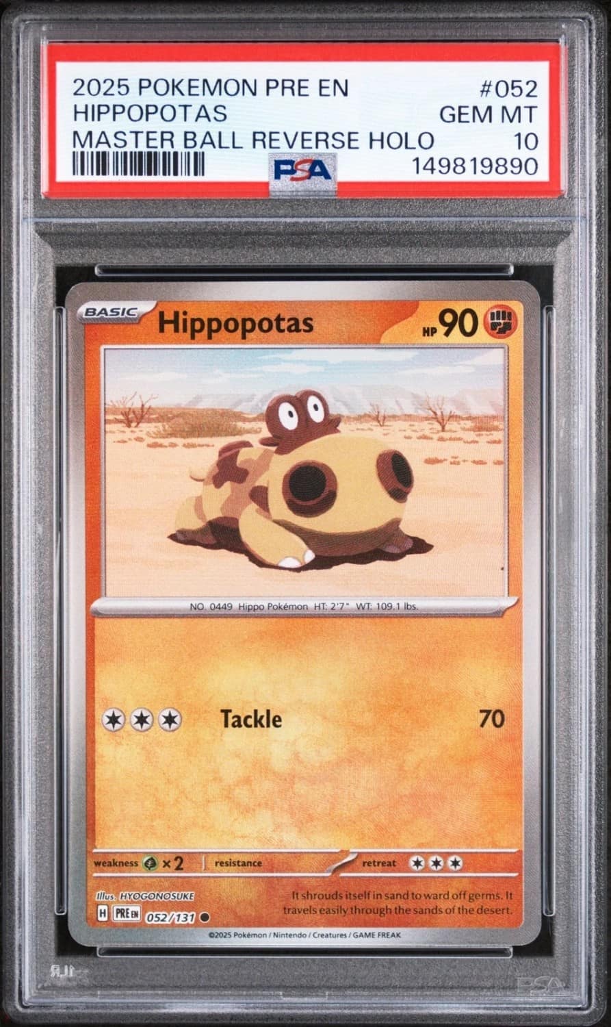 Hippopotas