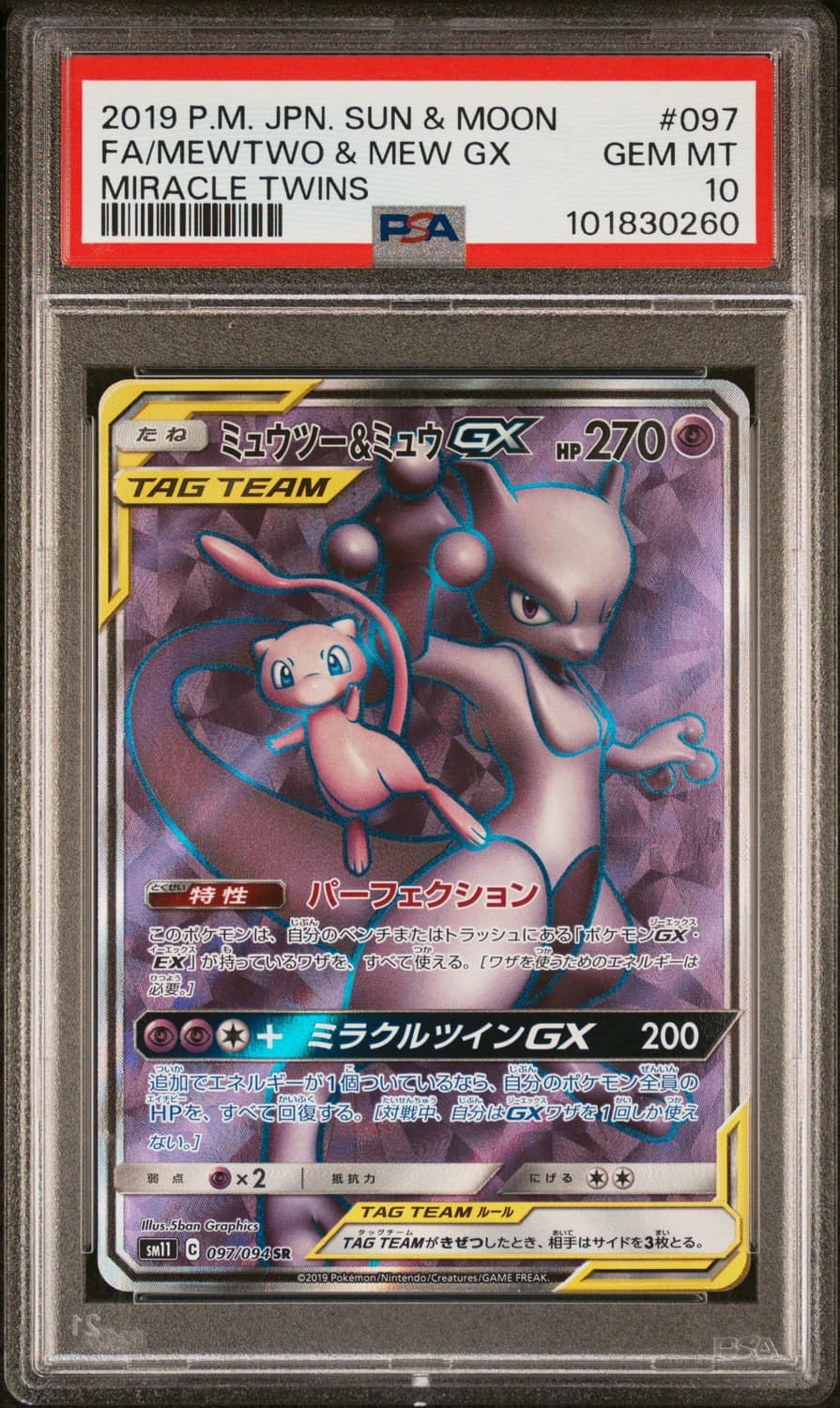 Mewtwo & Mew Gx