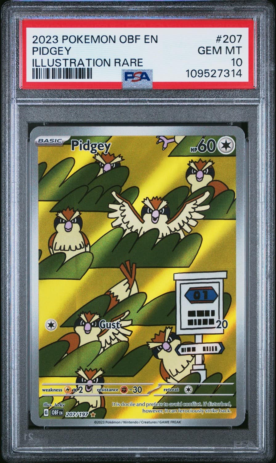 Pidgey