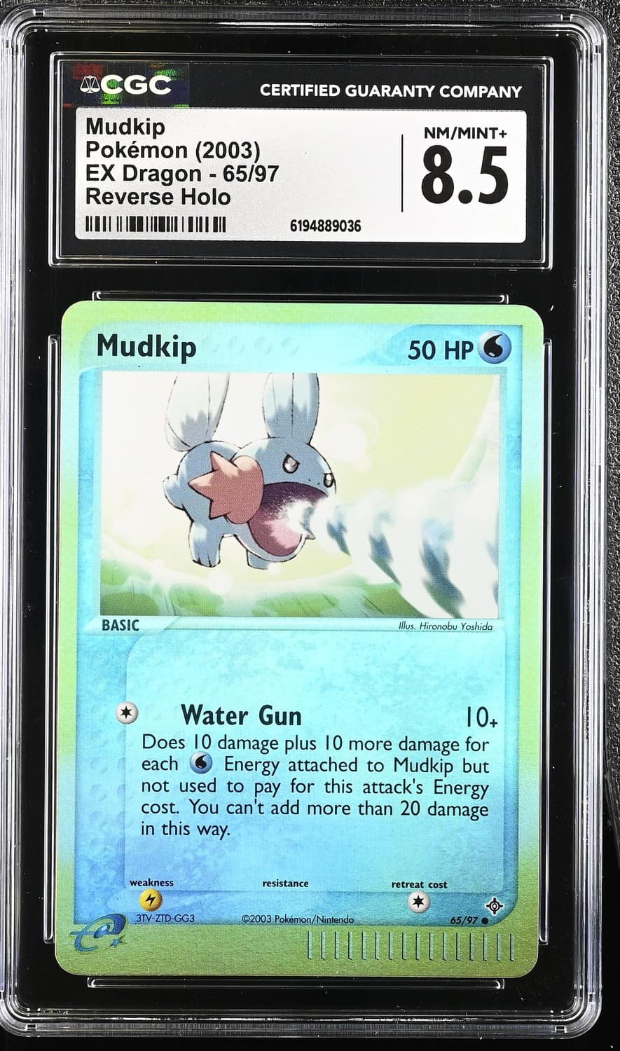 Mudkip