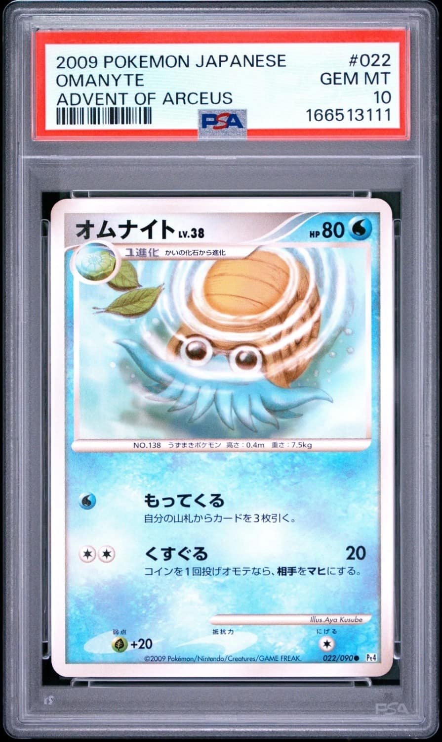 Omanyte