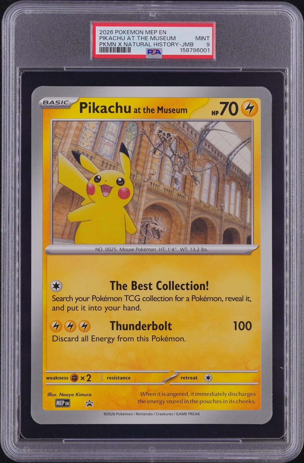 Pikachu At The Museum