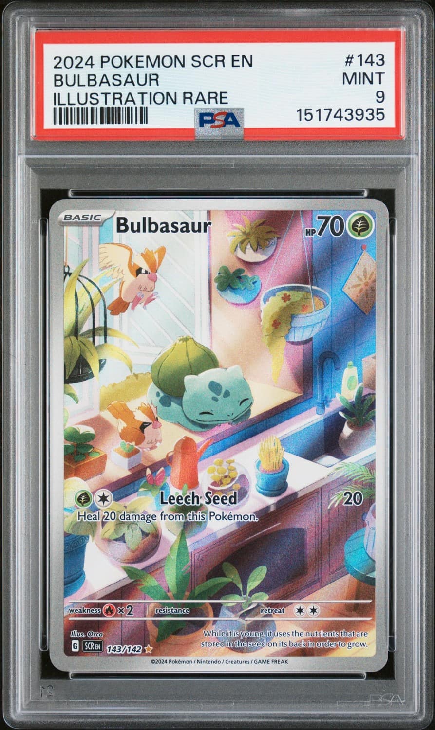 Bulbasaur