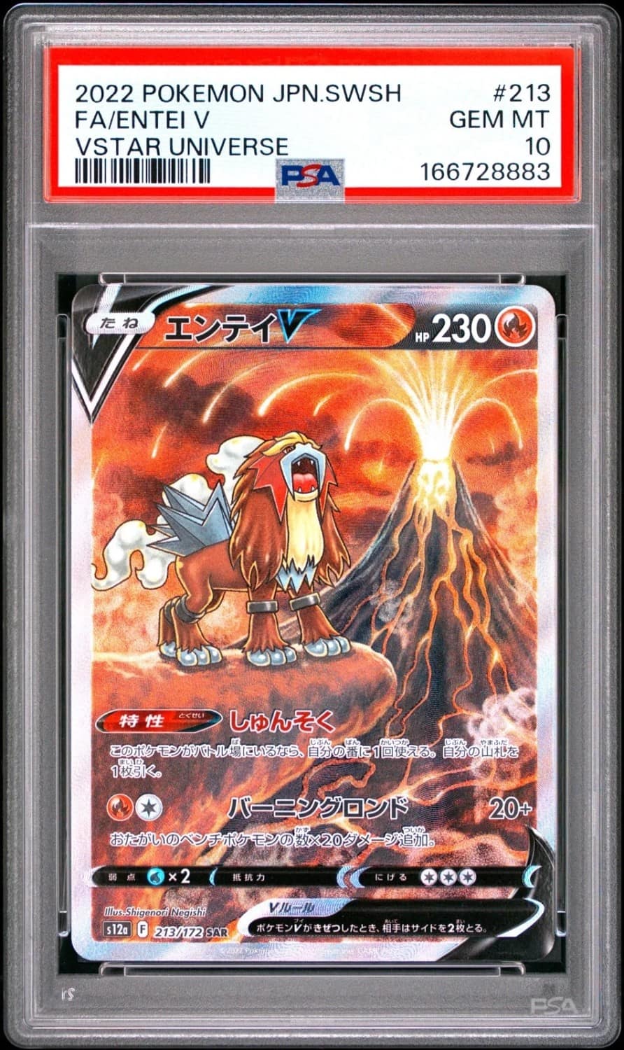 Entei V