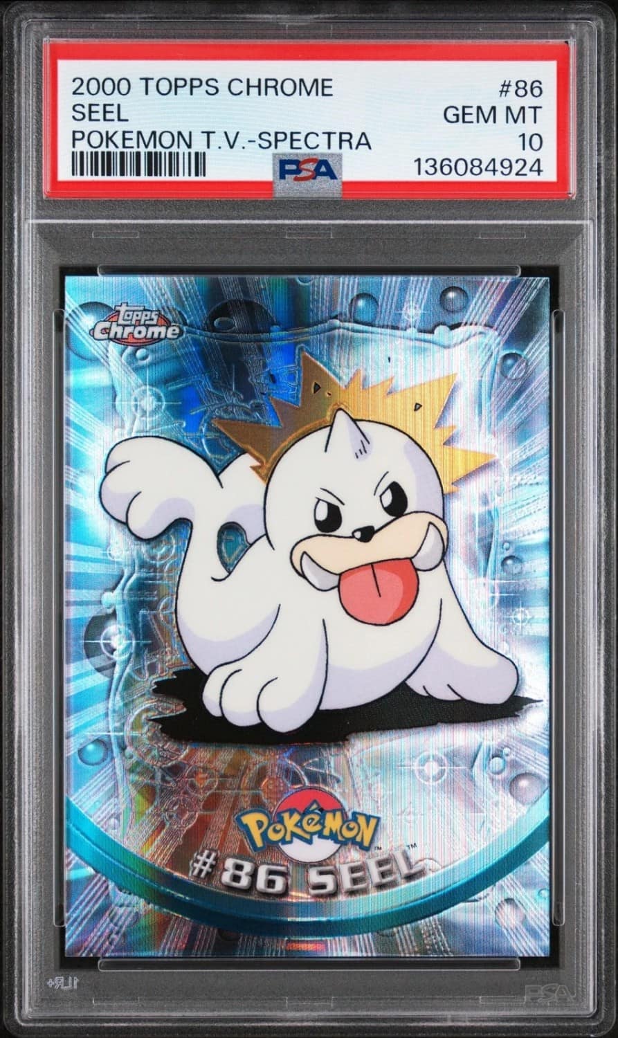 Seel