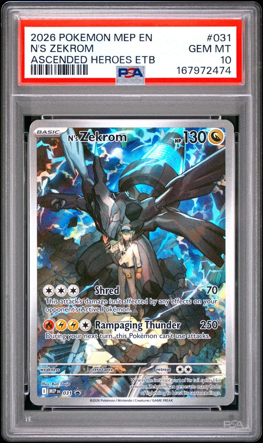 N'S Zekrom