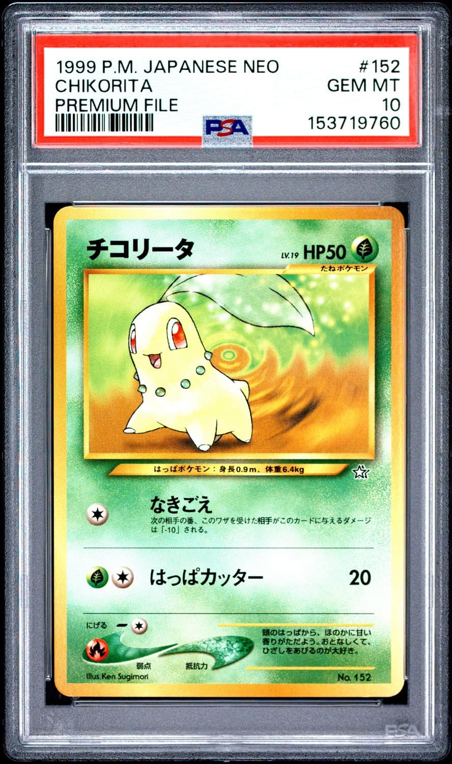 Chikorita